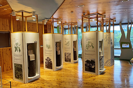 목재를 오감으로 만날 수 있는 곳! 김해목재문화박물관