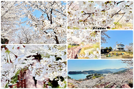 고성 공룡박물관 상족암 벚꽃 🌸  봄나들이 경남 여행