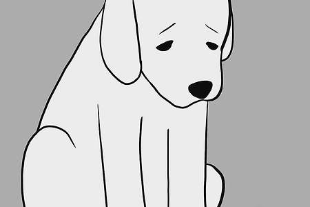 천재 만화가 제니 지냐의 작품  '버려진 강아지'
