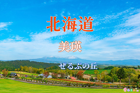 2019 홋카이도(北海道) 가을 단풍여행, 비에이(美瑛) 제루부의 언덕(ぜるぶの丘)
