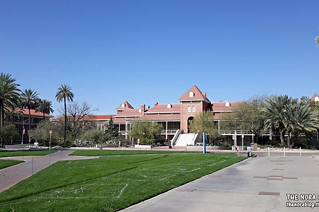 [투산] 애리조나 대학교 University of Arizona 구경 - 첫째와 둘째의 Tucson (투산) 여행