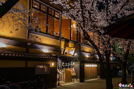 [일본] 교토(京都)의 벚꽃 명소 시라가와 미나미도리(白川南通)