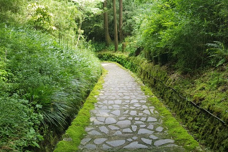 #도쿄 여행 하코네 삼나무길 가는 법, 온시하코네(恩賜箱根) 공원