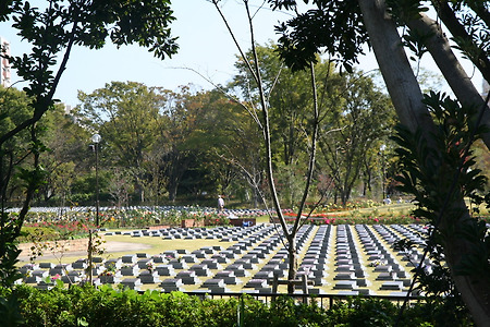 일본 요코하마 시립묘지 '메모리얼 그린'