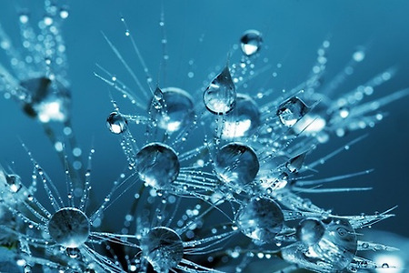 물 방울 블루 깨끗한 액체 신선한 자연 매크로 근접 촬영 사진 투명한 이슬 비 - 무료이미지