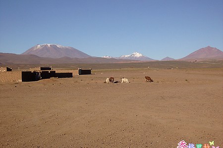2010 볼리비아 여행기 - 05 Uyuni 사막을 달리다