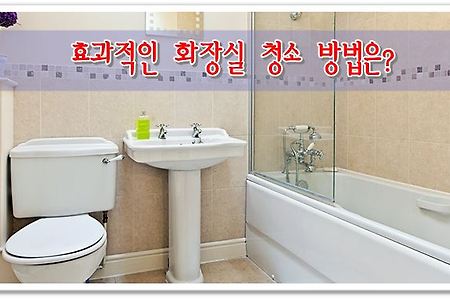 효과적인 화장실 청소 방법은?