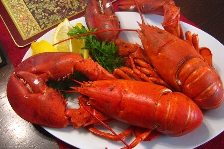 [미국] 랍스터(Lobster)의 천덕꾸러기 흑역사. 과거를 묻지 마세요~~