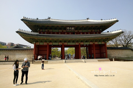 서울 명소 가볼만한곳, 가족과 창덕궁 나들이