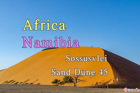 2018년 아프리카 여행기 45, 나미비아 소수스블레이(Sossusvlei) 샌드듄(Sand Dune)45 아침