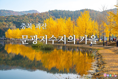 충북 괴산 문광저수지의 가을