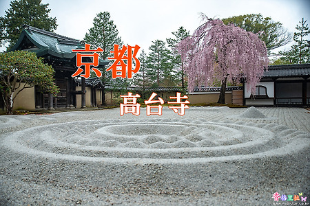 2017 일본 교토 여행기 15, 교토 고다이지(高台寺) 수양벚꽃