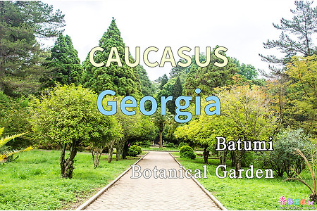 2018년 코카서스 3국 여행기. 조지아(Georgia) 바투미 식물원(Batumi Botanical Garden)