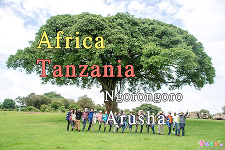 2018년 아프리카 여행기 22, 탄자니아(Tanzania) 응고롱고로(Ngorongoro)에서 아루샤(Arusha)로