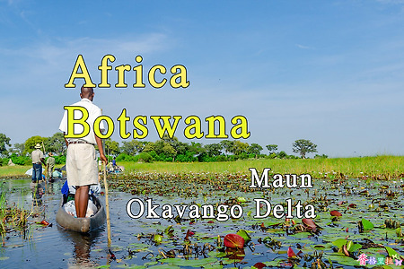 2018년 아프리카 여행기 36, 보츠와나(Botswana) 마운(Maun) 오카방고 델타(Okavango Delta) 사파리