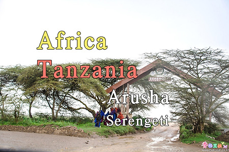 2018년 아프리카 여행기 17, 탄자니아(Tanzania) 세렝게티 (Serengeti) 국립공원 (Serengeti National Park)
