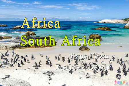 2018년 아프리카 여행기 73, 남아공 케이프 타운(Cape Town) 볼더스 비치(Boulders Beach) 펭귄공원