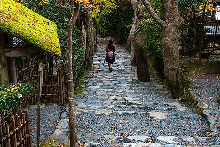 [일본] 가을 산책