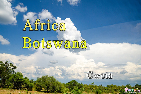 2018년 아프리카 여행기 34, 보츠와나(Botswana) 궤타(Gweta)로 이동