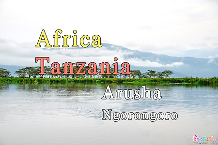 2018년 아프리카 여행기 21, 탄자니아(Tanzania) 세렝게티 (Serengeti) 응고롱고로(Ngorongoro)