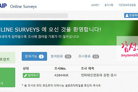 인터넷 설문조사 사이트 수익공개 - AIP ONLINE SURVEYS