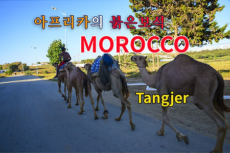 2016 모로코여행기 1, 탕헤르(Tangjer)