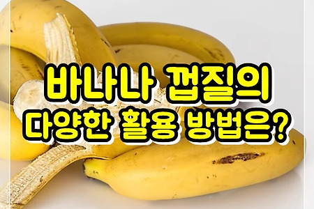 우리가 몰랐던 바나나 껍질의 다양한 활용 방법은?