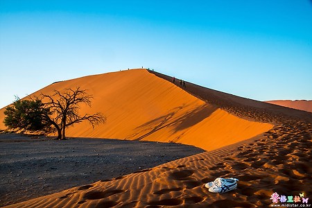 [나미비아] 사막의 아침