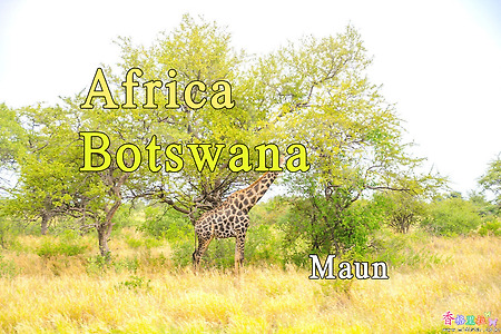 2018년 아프리카 여행기 35, 보츠와나(Botswana) 궤타(Gweta)에서 마운(Maun) 이동
