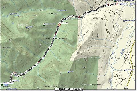 [Alberta/Kananaskis] Ribbon Lake - Galatea Creek Loop, Day 1