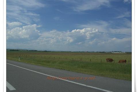 [Alberta/Kananaskis] Opal Ridge North - 2,575m