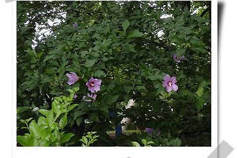 [Washington DC] 20030714 - The City of Smithsonian