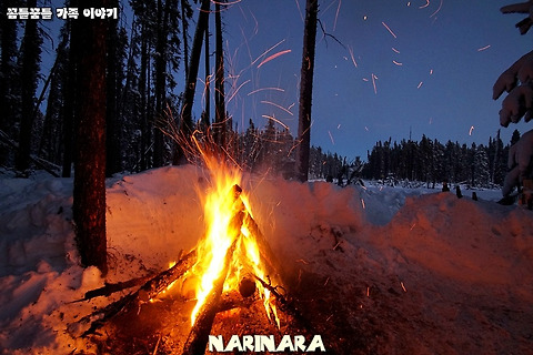 [Alberta/Sundre] Tree Cutting