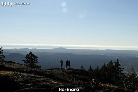 [British Columbia/Goldsteam Provincial Park] The Ultimate Vancouver Island Road Trip, Day 8 - Mt. Finlayson - 416m