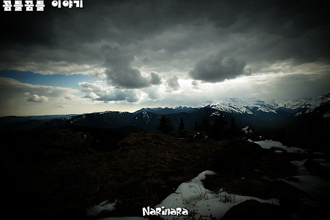 [Alberta/Sheep River Provincial Park] Ridge 608091 - The Knob - Bluerock  Creek - 2,009m