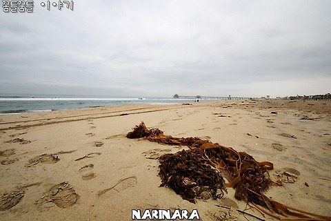 [California/Huntington Beach] Southern California Family Vacation - Huntington City Beach