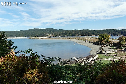 [British Columbia/Sooke] The Ultimate Vancouver Island Road Trip, Day 8 - Whiffin Spit Park