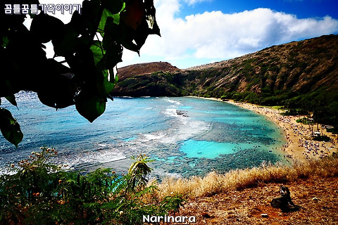 [Hawaii/Oahu] 2017 Family Reunion Vacation, Day 8 - Hanauma Bay