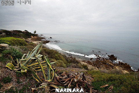 [California/Corona Del Mar] Southern California Family Vacation - Corona Beach