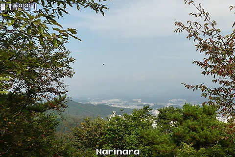[Ganwon/Wonju] 배부른산 - 420m