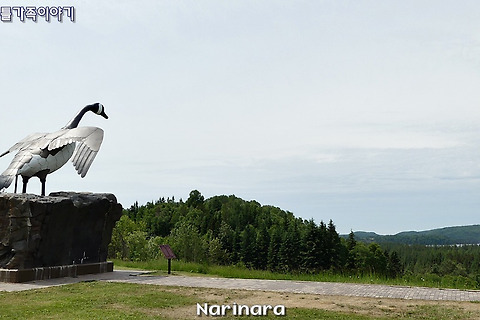 [2018 Eastern Canada and USA Road Trip] Day 4, Ontario