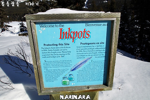 [Alberta/Banff National Park] Inkpots via Moose Meadows and Johnston Canyon - 15km