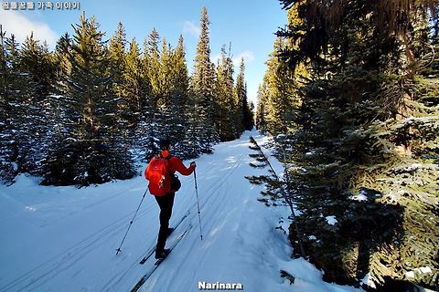 [Alberta/Kananaskis] Skogan Pass - 15.3km