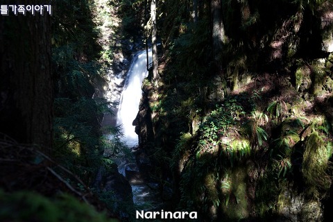 [British Columbia/West Vancouver] Cypress Falls - 6km