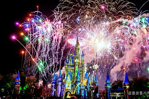 [Florida/Orlando] 2019 Florida Family Vacation - Day 7, Disney's Magic Kingdom