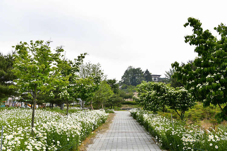 진안 여행_마이산 수변생태공원(20240515)