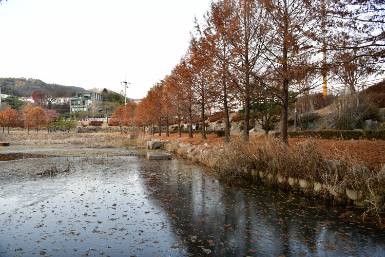 대전 대청호 자연수변공원(20231202)