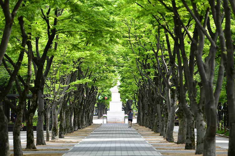 대전 보라매 공원(20240428)