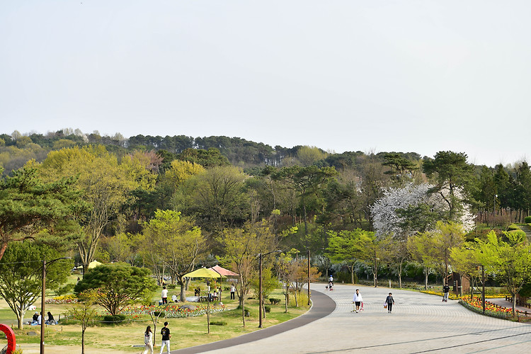 논산 논산 시민공원(20240410)