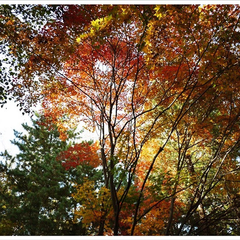가을 청계산 원터골 산책길에 나서다.